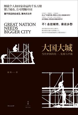 《大国大城》封面