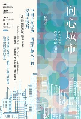 《向心城市 : 迈向未来的活力、宜居与和谐》封面