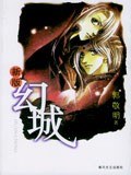 幻城封面